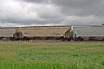CEFX 350655